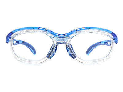 Guardrix Safety Glasses